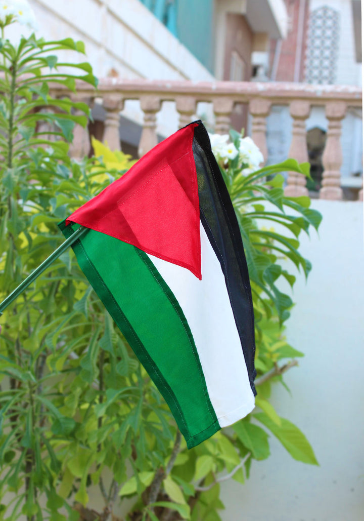PALESTINE FLAG - Bike