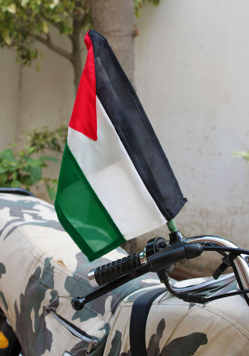 PALESTINE FLAG - Bike