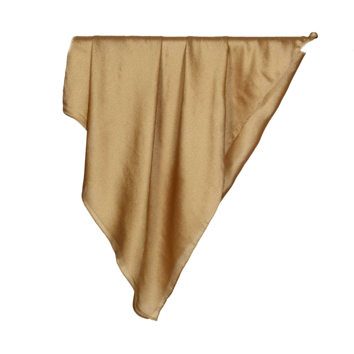 Banarsi Silk-Camel